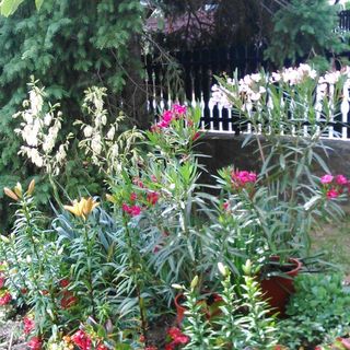 Léhner Apartmanház Vonyarcvashegy (4)