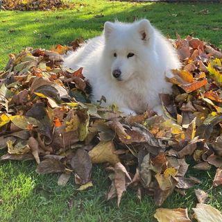 Szent István Vendégház Nagymaros (4)