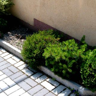 Pál Apartman Hévíz (4)