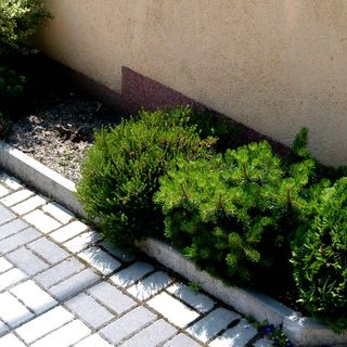 Pál Apartman Hévíz (4)