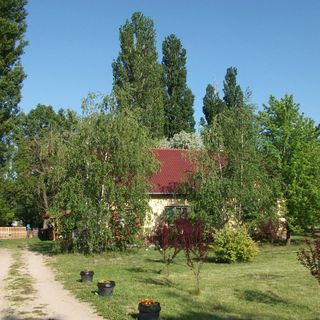 Páva Vendégház Mórahalom (4)