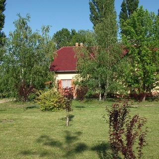 Páva Vendégház Mórahalom (3)