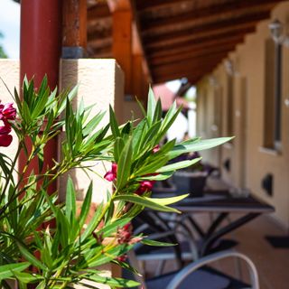 Tünde Apartmanház Hajdúböszörmény (5)