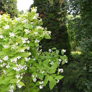 Európa Vendégház Zalaegerszeg (2)