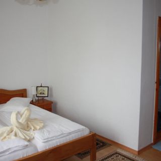 Pensiunea Claudiu Caransebeș (2)