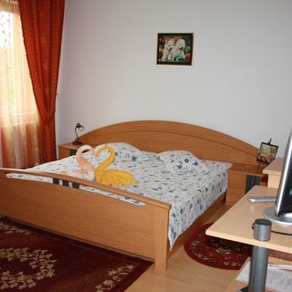 Pensiunea Claudiu Caransebeș (3)