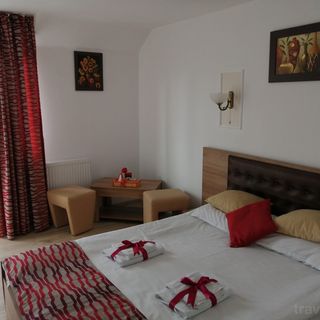 Pensiunea Anda Călățele (5)