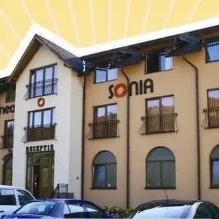 Pensiunea Sonia Telciu (2)