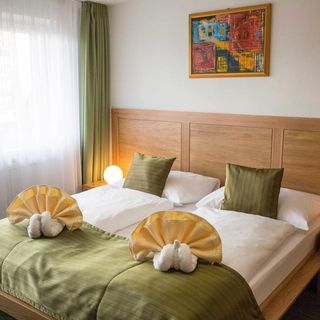 Hotel Bystrina Demänovská Dolina (3)