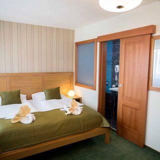 Hotel Bystrina Demänovská Dolina (4)