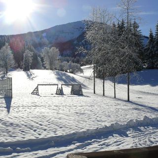 BS-Ötscher Hotel Lackenhof (2)