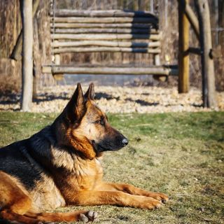 Lovas Zugoly Csabdi (5)