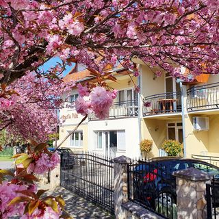 Anett Villa Hévíz (2)