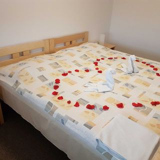 Hotel Dynamic Nová Dubnica (4)