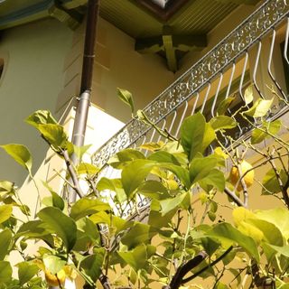 Melinda Villa Keszthely (5)