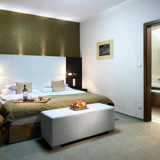 Hotel Turiec Martin (4)