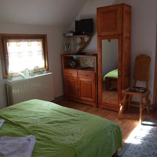 Pensiunea Valea Morii Pleșcuța (2)