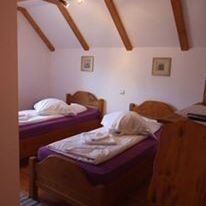 Pensiunea Valea Morii Pleșcuța (4)