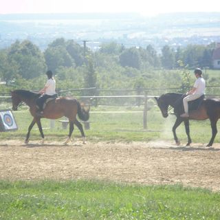 Lóbarát Lovasudvar Panzió Cserszegtomaj (4)