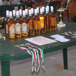 Hegyalja Gyöngyszeme Vendégház Rátka (5)