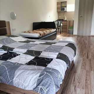 Ubytovanie Pepo Štúrovo (3)