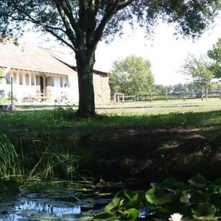 Lovaspanzió Hévíz (3)