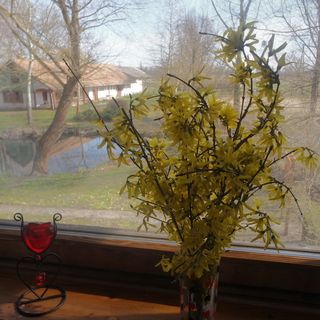 Lovaspanzió Hévíz (4)