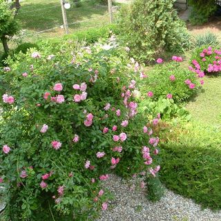 Pálfalvi MSz Sztella Apartman Miskolctapolca (5)