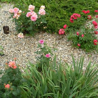 Pálfalvi MSz Sztella Apartman Miskolctapolca (4)