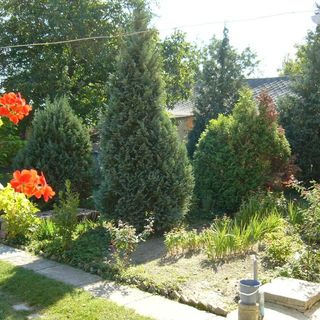 Magdi Vendégház Siklós (3)