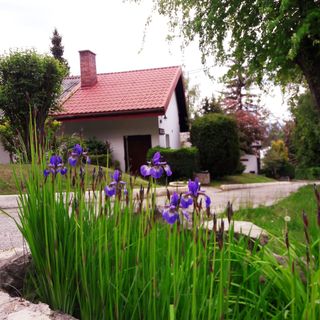 Centrum Wypoczynku Odys Tresna (5)