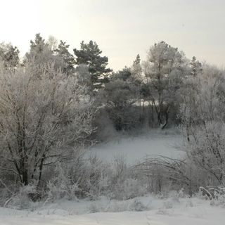 La Nonna Vendégház Salföld (3)