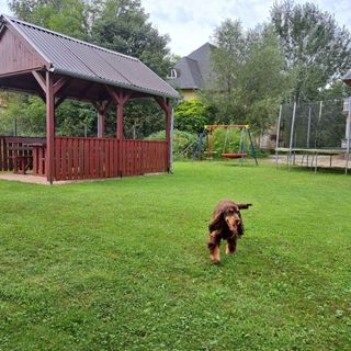 Napartman Kehidakustány (4)