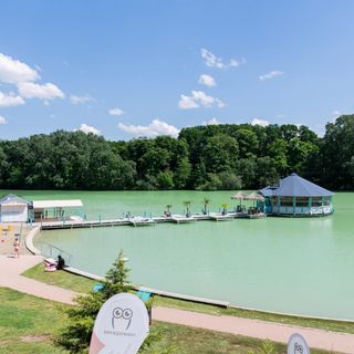 Bagoly Fogadó Gyömrő (2)