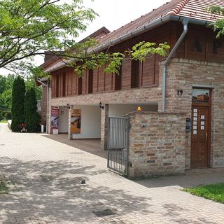 Gyulai Fürdő Apartman Delux (3)