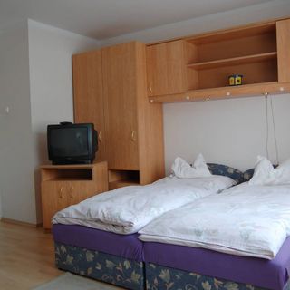 Villa Orgona Zalakaros (3)