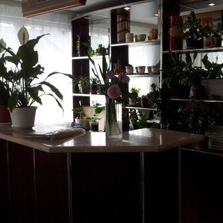 Still Panzió Kisvárda (3)