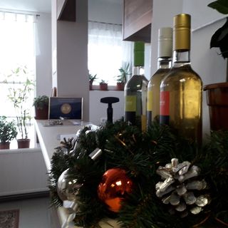 Fényes Vinorium Sopron (2)