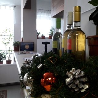 Fényes Vinorium Sopron (2)