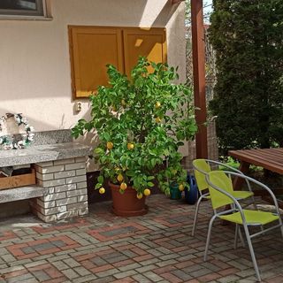 Sportlak Apartman Hosszúhetény (5)