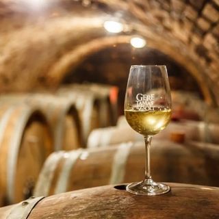 Diófa Panzió & Bisztró Villány (3)