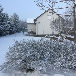 Erzsébet Vendégház Nagyhegyes (5)