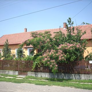 Abádi Karmazsin Ház Abádszalók (3)