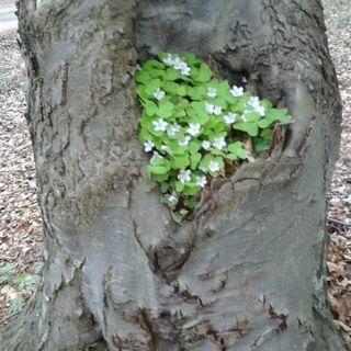 Gétót Vendégház Tardona (4)