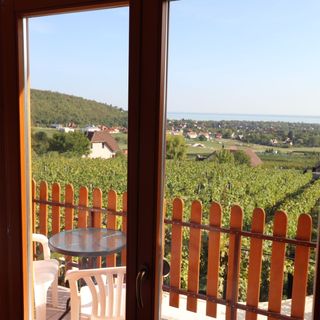 Lekics Pince és Vendégház Balatongyörök (5)