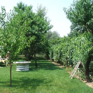 Abádi Apartmanok Abádszalók (5)