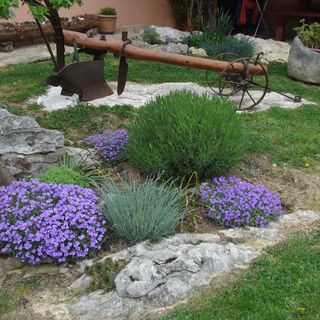 Apartman Pino Roč (3)