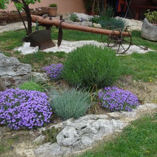 Apartman Pino Roč (3)