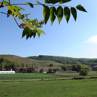 Mátyus Udvarház Kengyel Fogadó Eger (5)