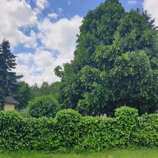 Füzesi Vendégház Veszprém (5)